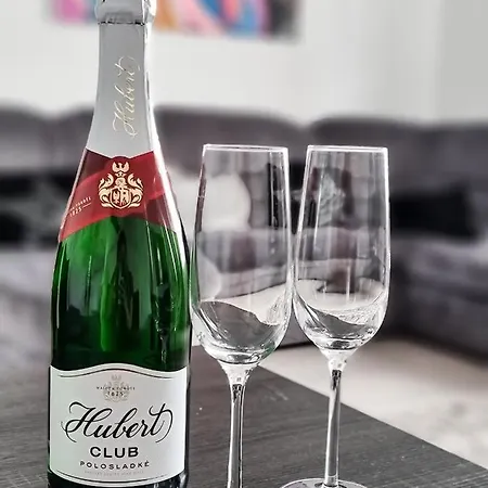 Apartman Spacious Near Hockey And Football Arena