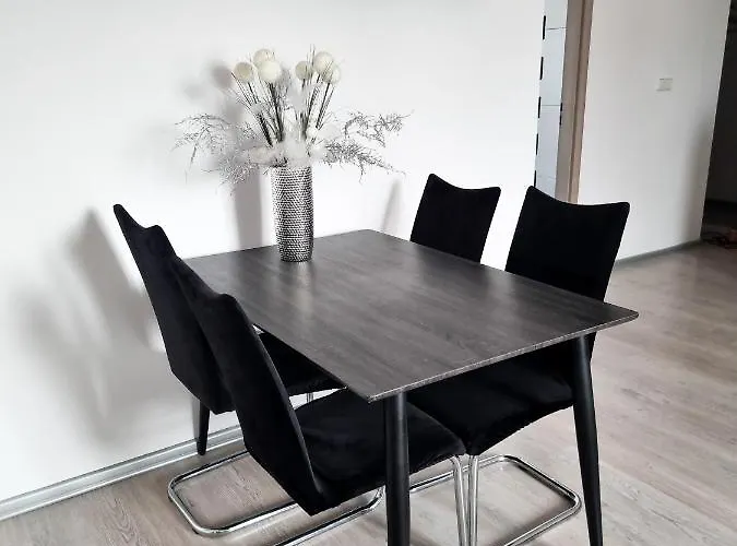 Apartman Spacious Near Hockey And Football Arena